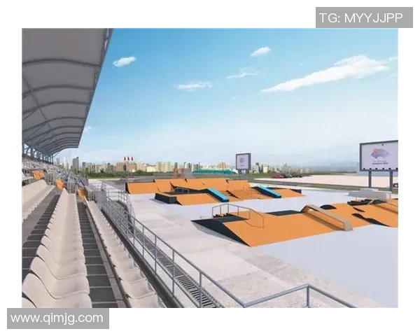 杭州滑板队运营分析:成功经验与面临挑战的全面探讨 杭州滑板队运营分析:成功经验与面临挑战的全面探讨